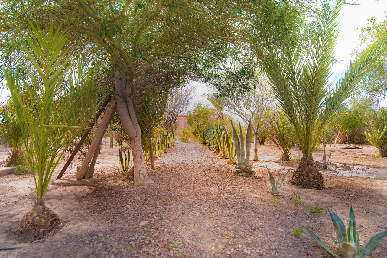 הוילה אוארצאצטה Kasbah Idriss מראה חיצוני תמונה